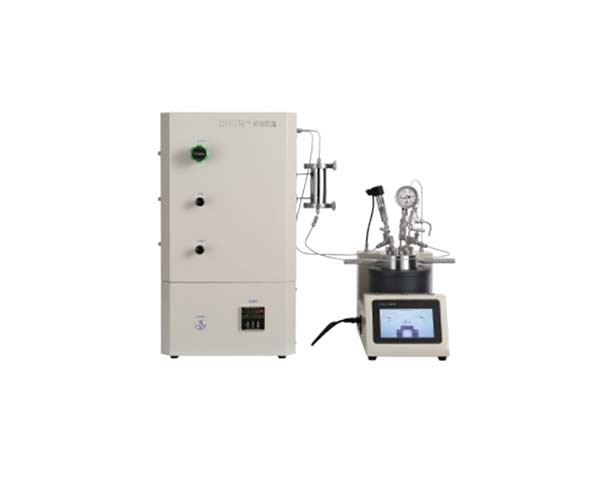 100ml液相氢化反应釜